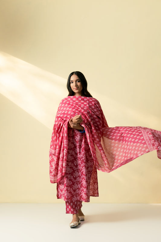 Roshni Kurta Set